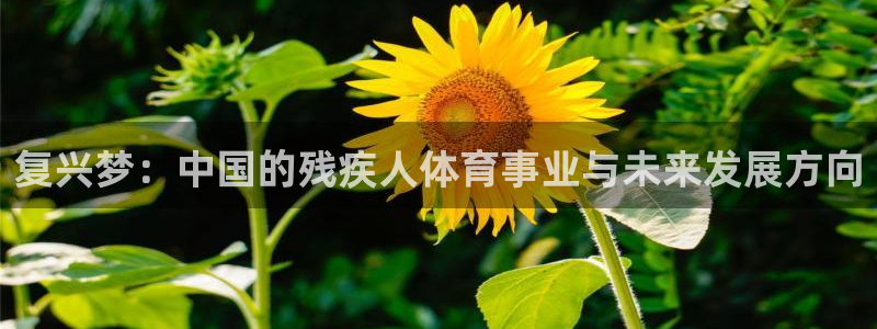 3377体育靠谱吗：复兴梦：中国的残疾人体育事业与未来发展方向