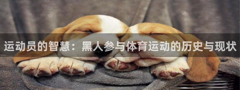 3377体育网页登录入口：运动员的智慧：黑人参与体育运动的历史与现状
