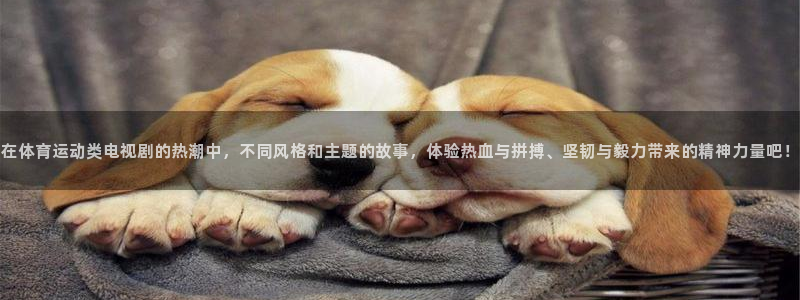 3377体育平台：在体育运动类电视剧的热潮中，不同风格和主题的故事，体验热血与拼搏、坚韧与毅力带来的精神力量吧！