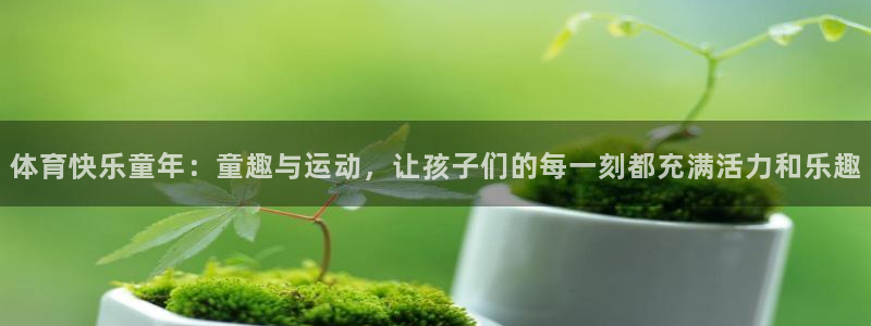 3377体育：体育快乐童年：童趣与运动，让孩子们的每一刻都充满活力和乐趣