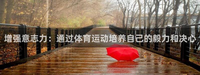 3377体育在线登录官网入口：增强意志力：通过体育运动培养自己的毅力和决心