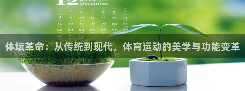 3377体育官网：体坛革命：从传统到现代，体育运动的美学与功能变革