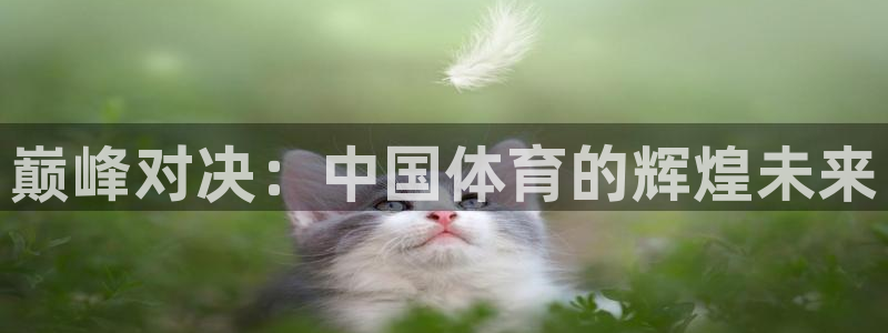 3377体育：巅峰对决：中国体育的辉煌未来
