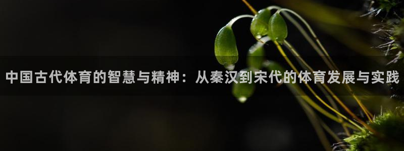 3377体育app下载安装：中国古代体育的智慧与精神：从秦汉到宋代的体育发展与实践