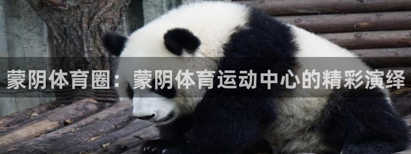 3377体育平台：蒙阴体育圈：蒙阴体育运动中心的精彩演绎